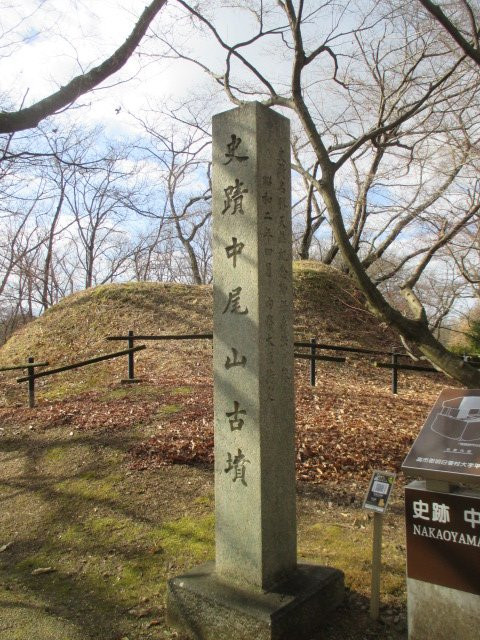Nakaoyama Ancient Tomb景点图片