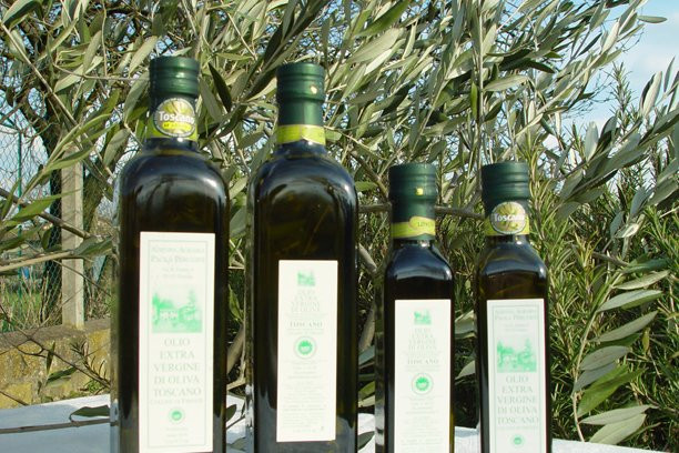 Agriturismo Il Trebbio主图