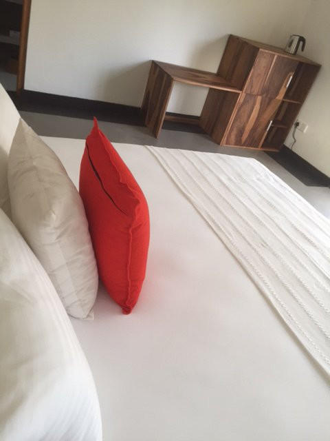 BoBo's Bed & Breakfast主图