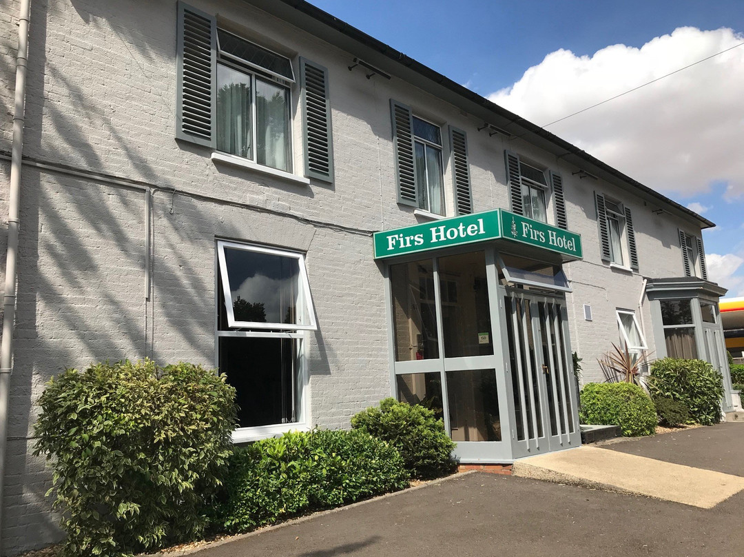 冷杉酒店&餐厅主图