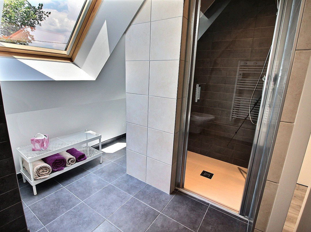 Logis Saponine主图