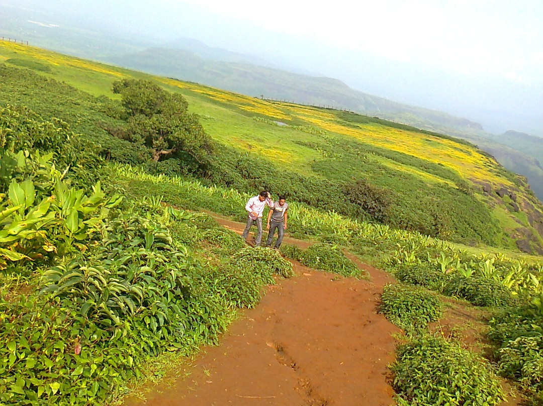 Anjaneri Fort景点图片