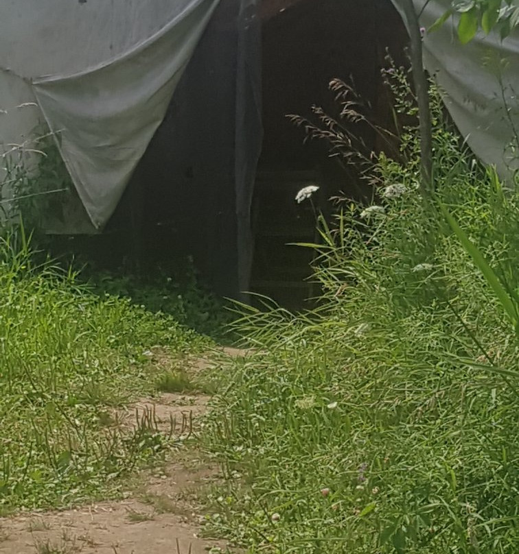 Escape Maze Incorporated-彼得伯勒必去景点