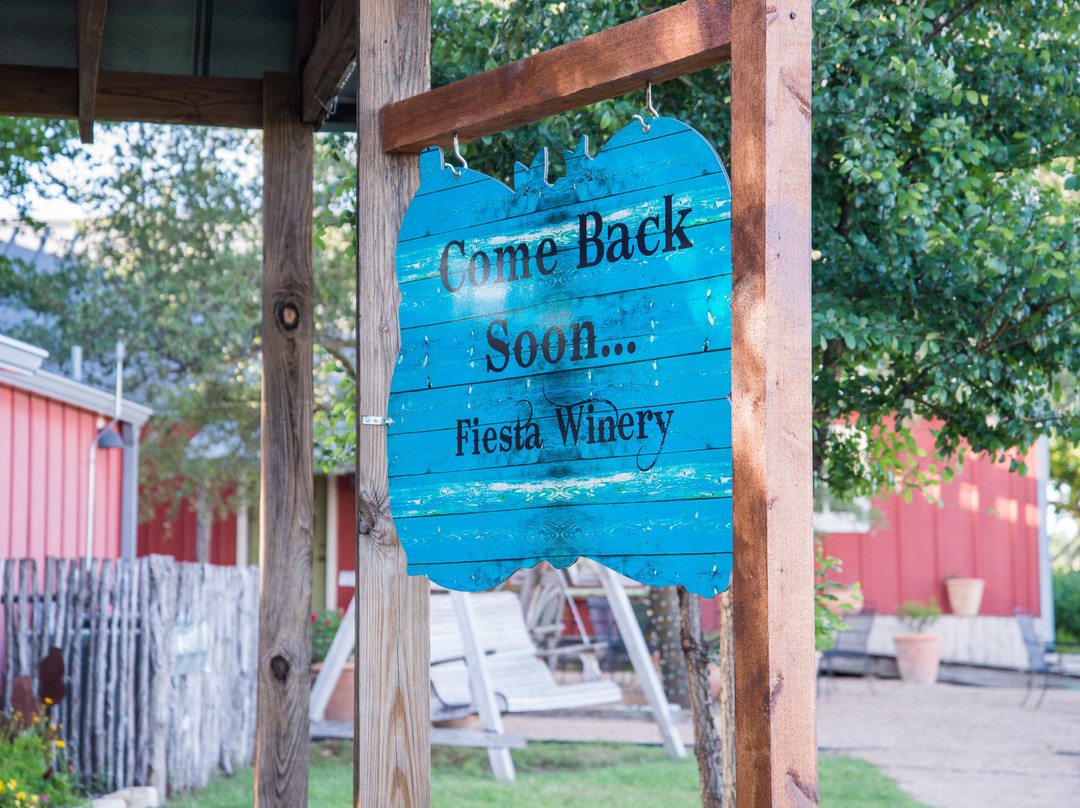 Fiesta Winery 290-弗雷德里克斯堡必去景点