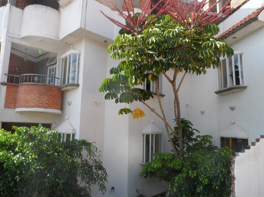 Hotel Internacional Malitsin主图