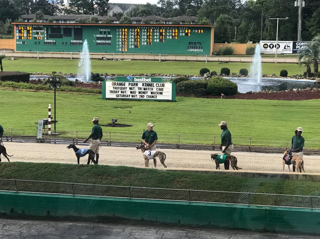 bestbet Orange Park-橙园必去景点