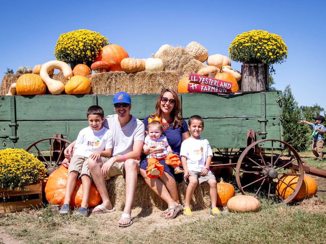 YesterLand Farm-Canton必去景点