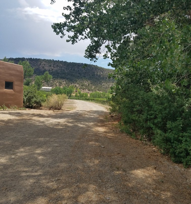 Guy Drew Winery-科尔特斯必去景点