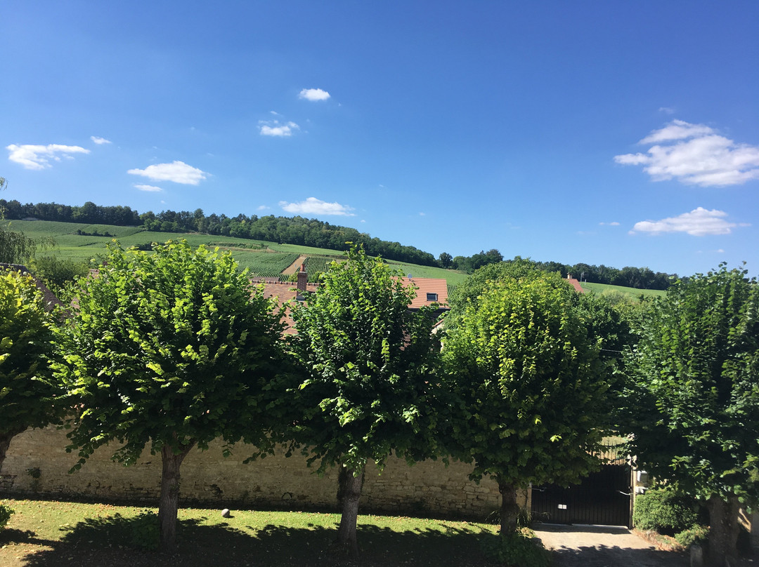 Le Château d'Hermonville主图