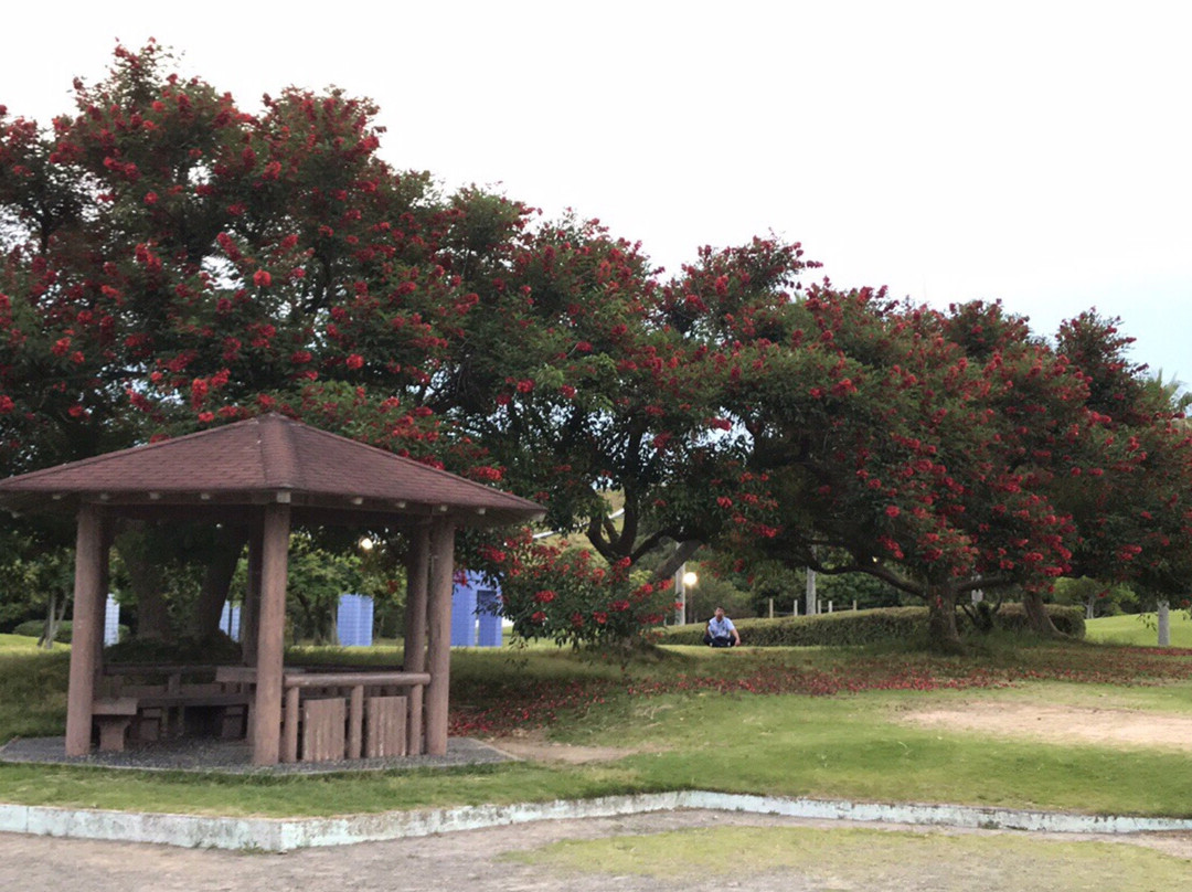 Ryuyo Marine Park景点图片