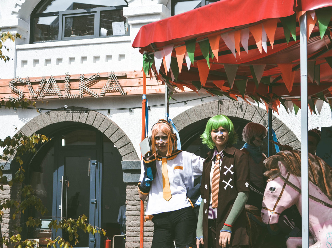 Izmaylovo旅游景点-Svalka