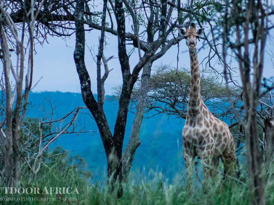 Outdoor Africa-理查兹湾必去景点