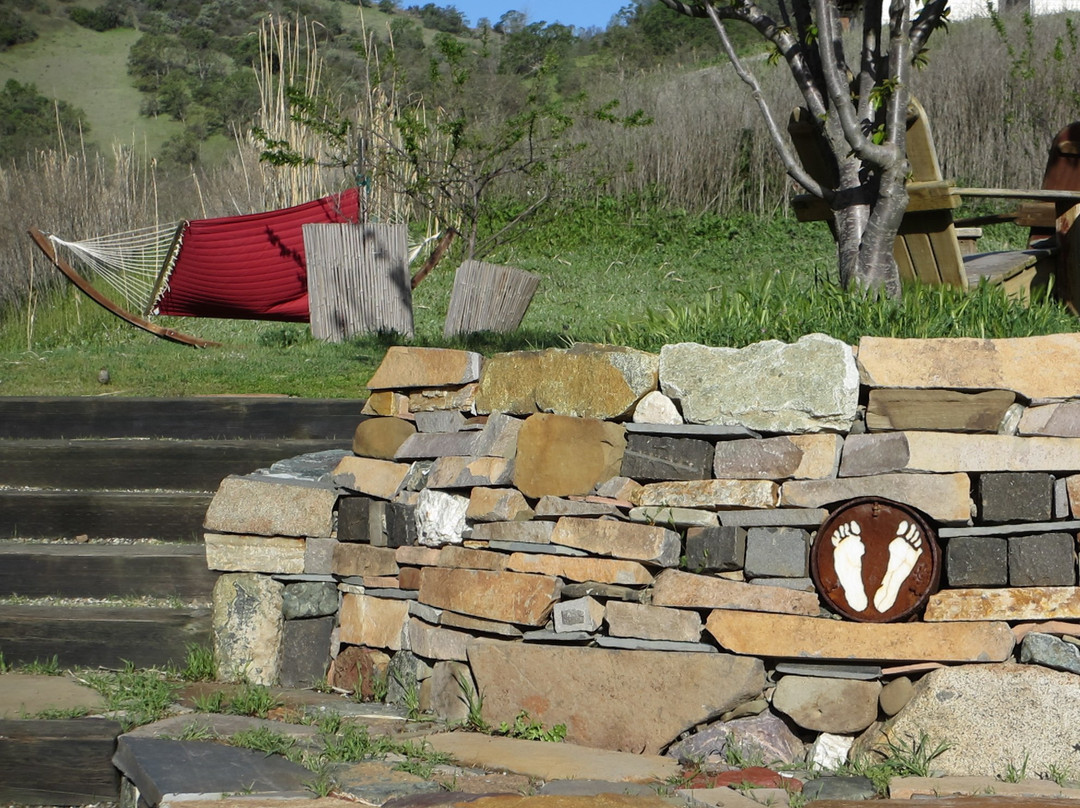 Wilbur Hot Springs-Williams必去景点