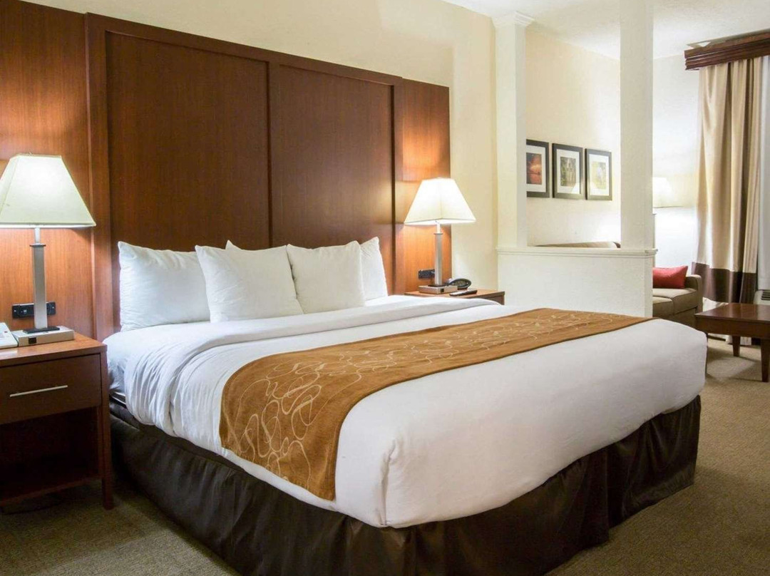 Comfort Suites Cumming-Atlanta Near Northside Hospital Forsyth主图