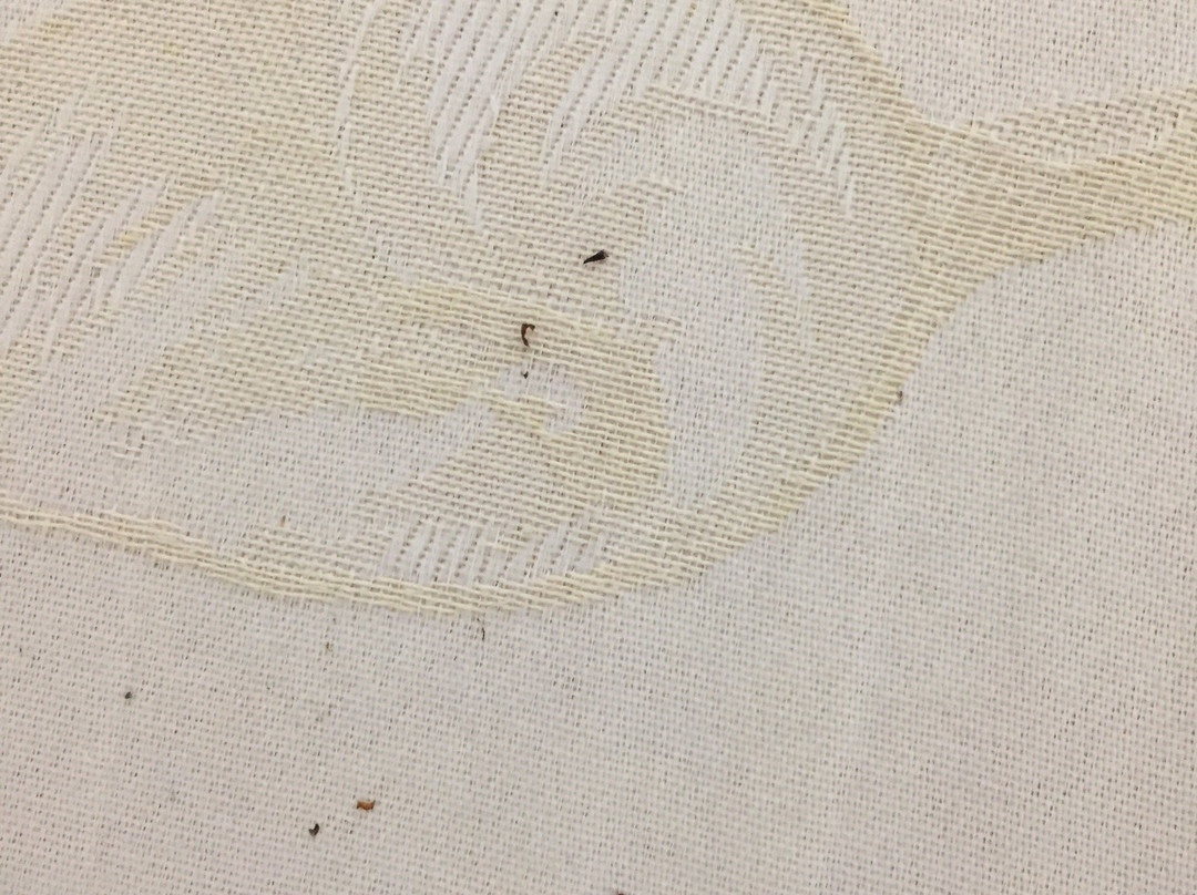 Whitelace Hotel Resort & Spa主图