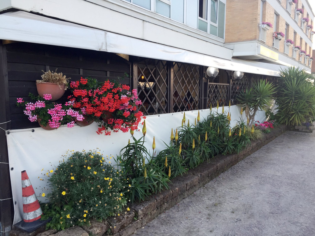 Hotel Ristorante Miramare主图