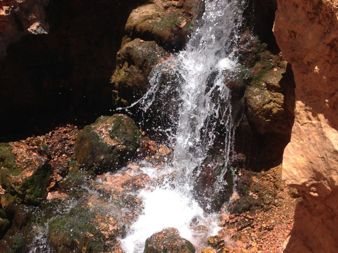 Cascade Falls Trail景点图片