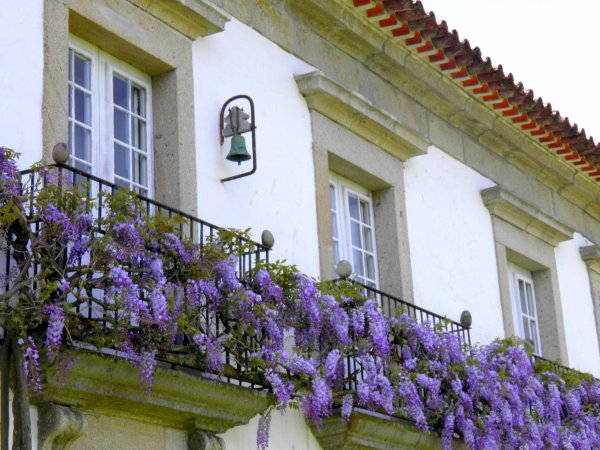 大瓦尔泽亚之家-官方