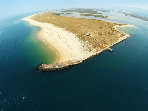 Animaris Ilha Deserta-法罗必去景点