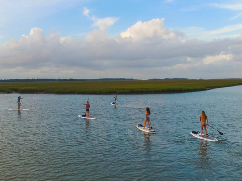 Charleston SUP Safaris-福利比奇必去景点