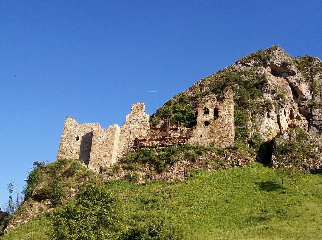Lednica Castle景点图片