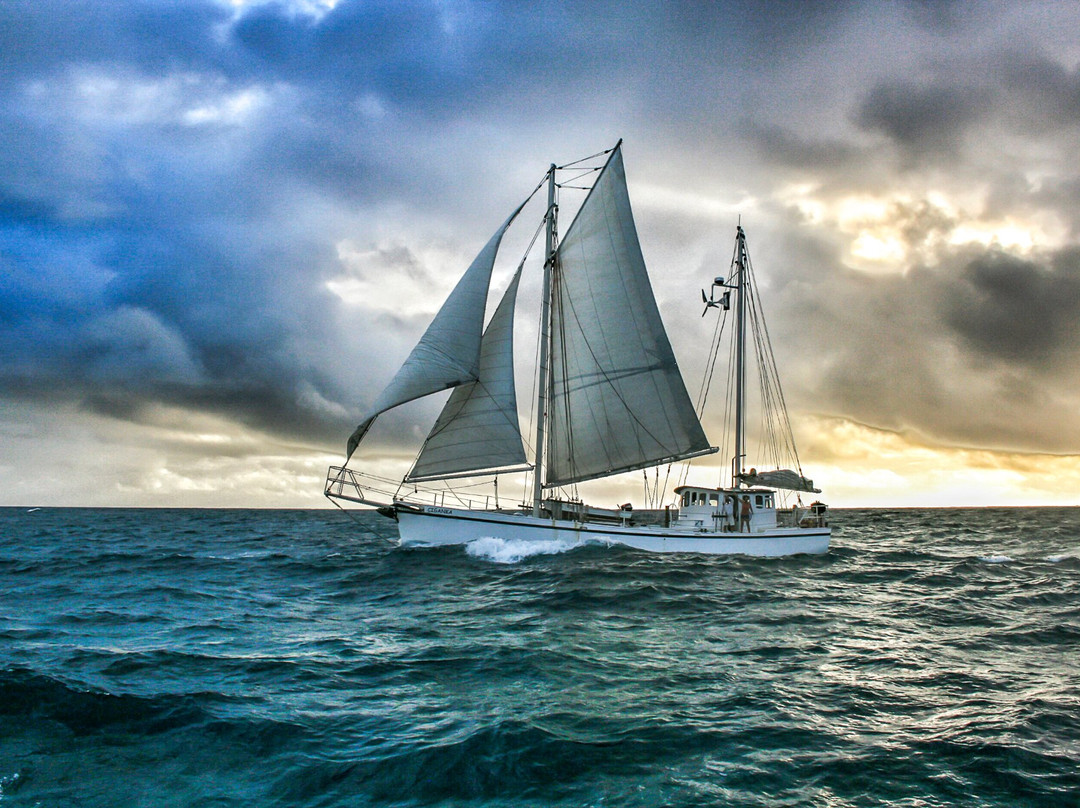 Sailing Adventures景点图片