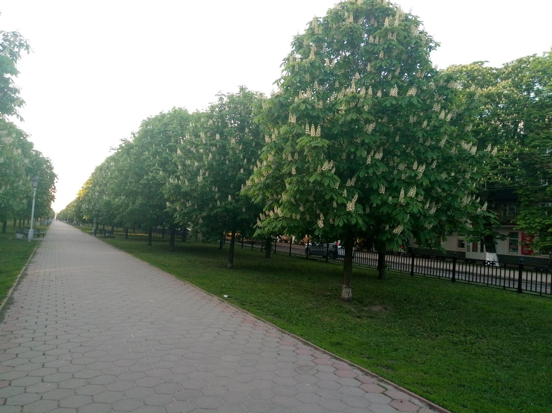 The Сhestnut Alley-Poltava必去景点
