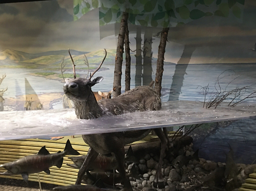 Northwest Arctic Heritage Center-Kotzebue必去景点