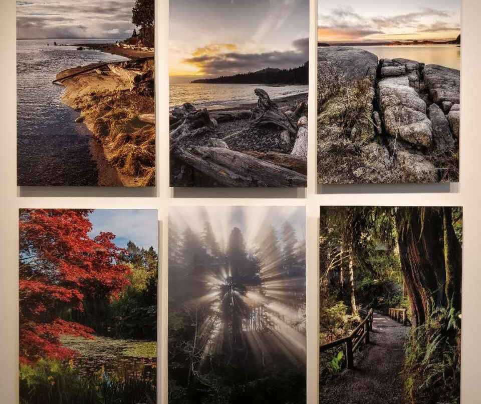 Karen Cooper Gallery-温哥华必去景点