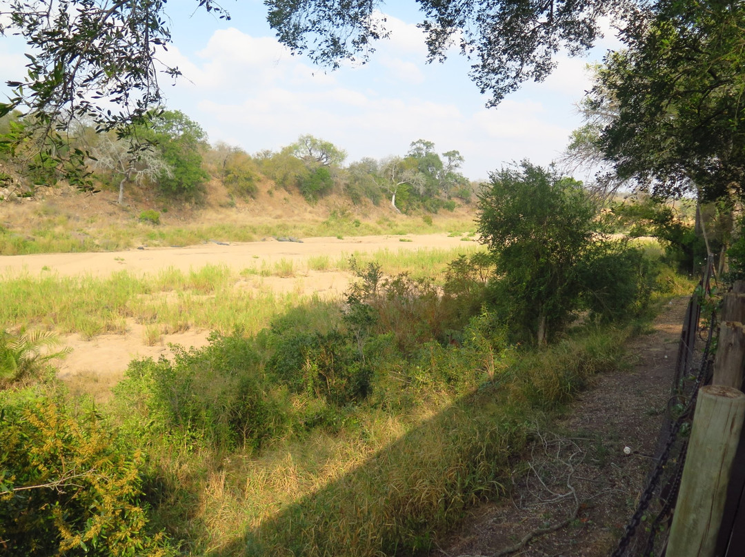 佐克沙法里旅馆主图