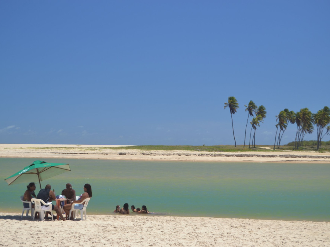 Bahia Vacations Private Tours-萨尔瓦多必去景点