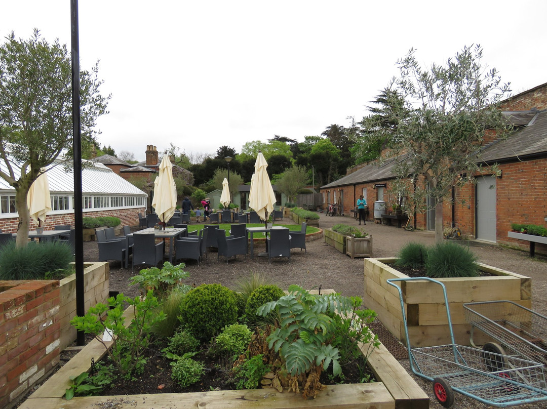 Medicine Garden-科巴姆必去景点