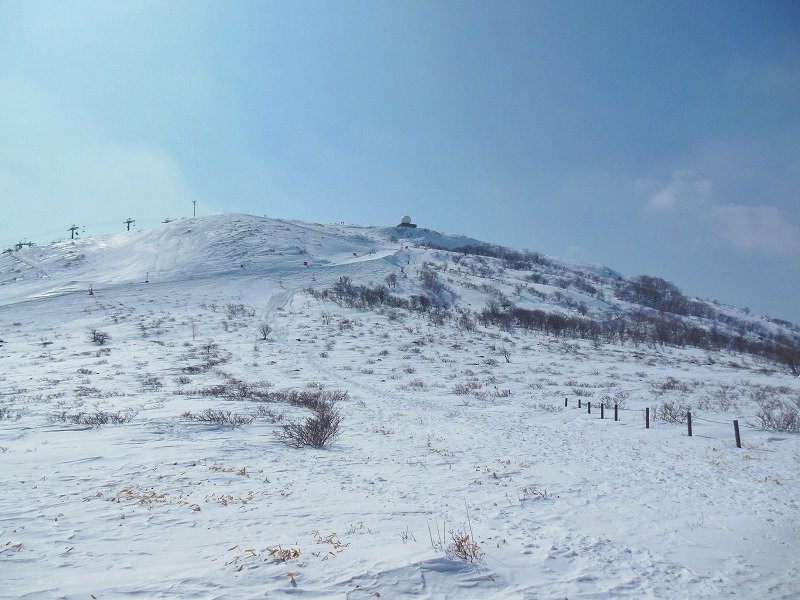 Kirigamine Marshland景点图片