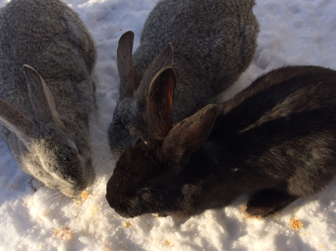 Valdayskaya Usadba Country Hotel主图