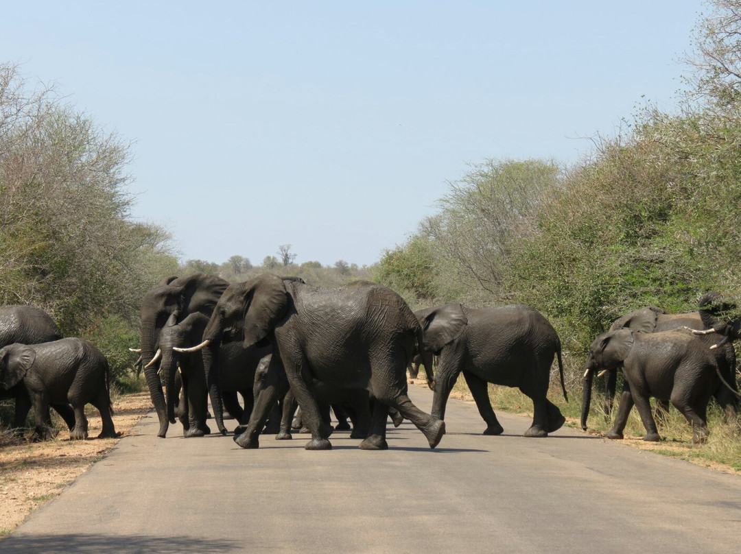 Sentashya Safaris-玛洛斯帕克必去景点