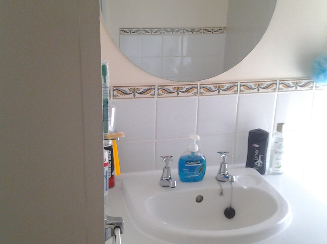 Rosevale Bed and Breakfast主图