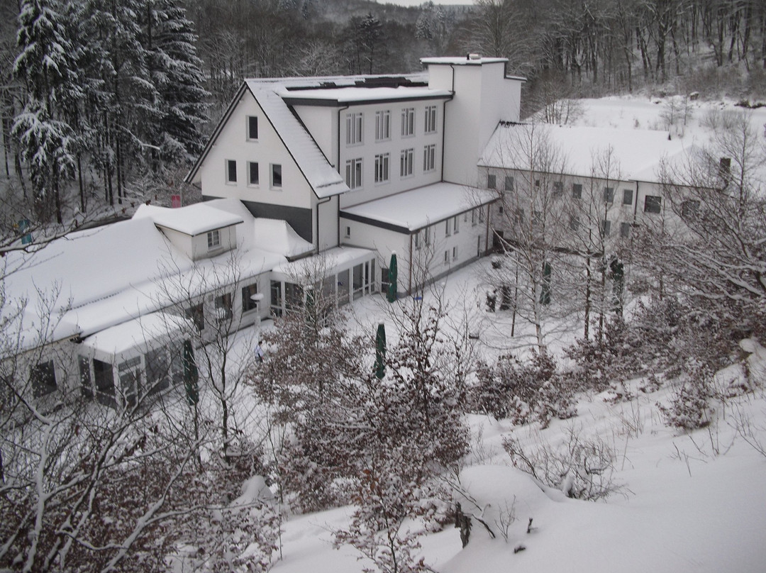 Hotel Am Bergpark -Neue Drusel-主图