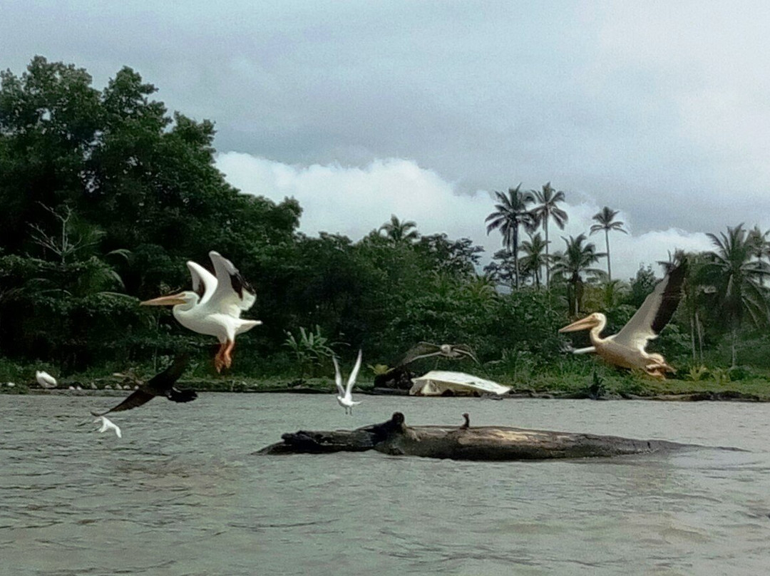 Portobelo Explorer景点图片