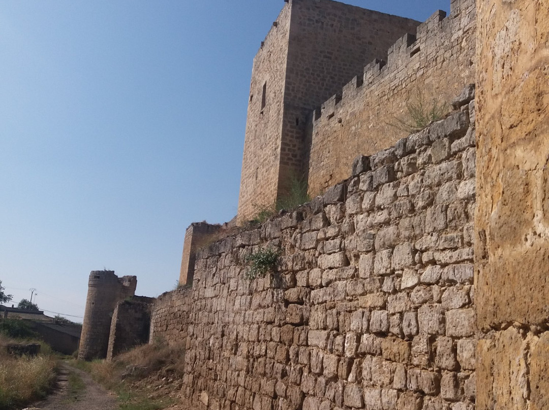 Castillo de Trigueros del Valle景点图片