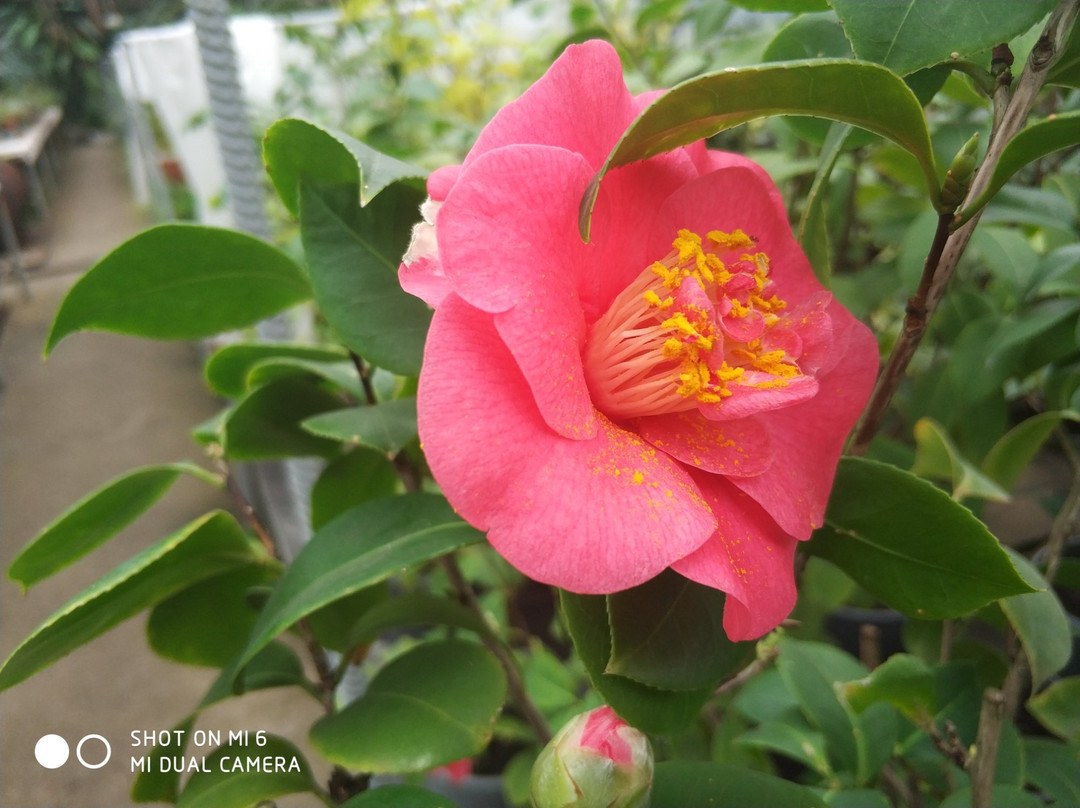 Kryvyy Rih Botanical Garden-Kryvyy Rih必去景点