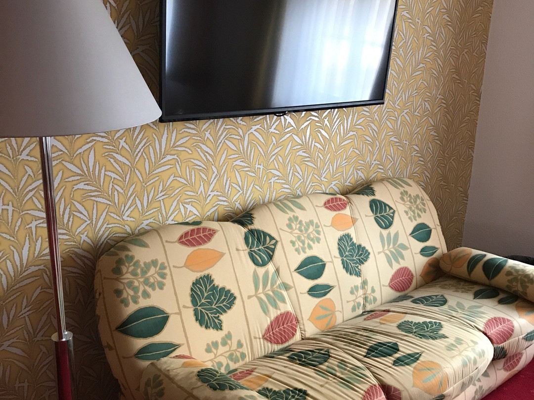 Hotel Goldener Fasan主图