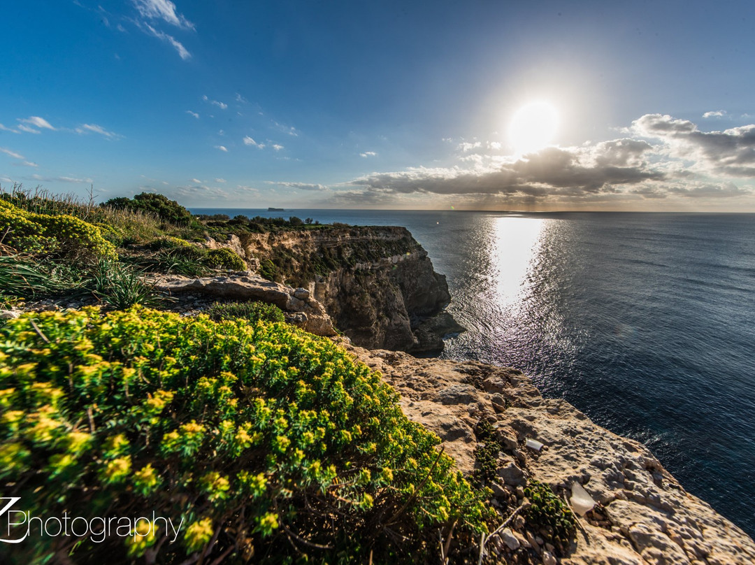 Malta Photography Tours景点图片