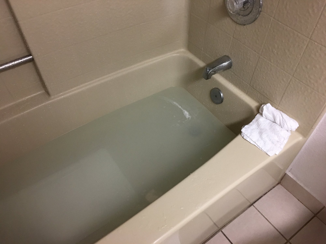 福乐顿戴斯套房酒店主图