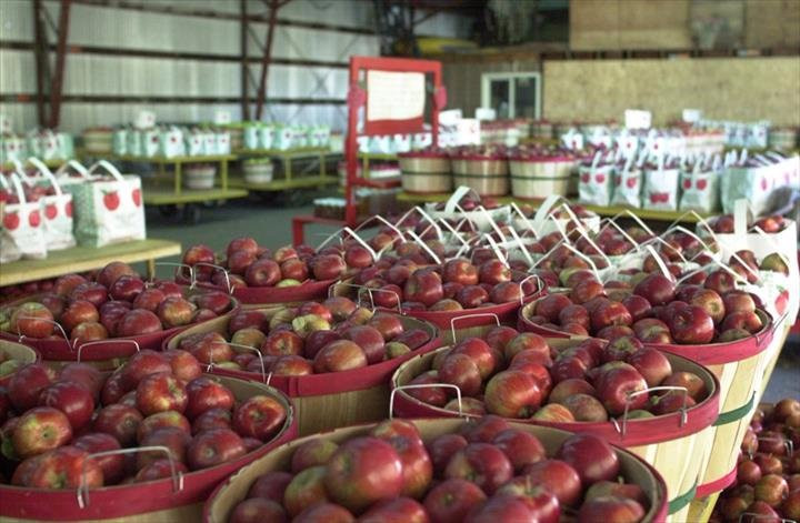 Ten Eyck Orchard-Brodhead必去景点