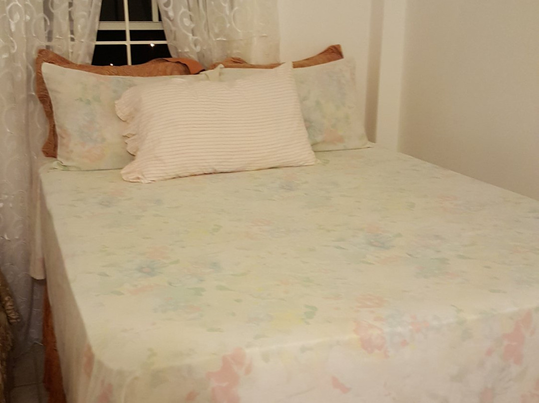 Claudia's Cove主图