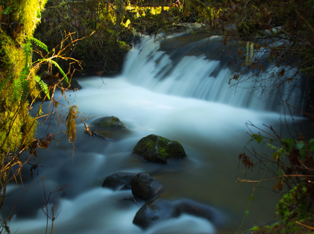 McDowell Creek Falls-Lebanon必去景点