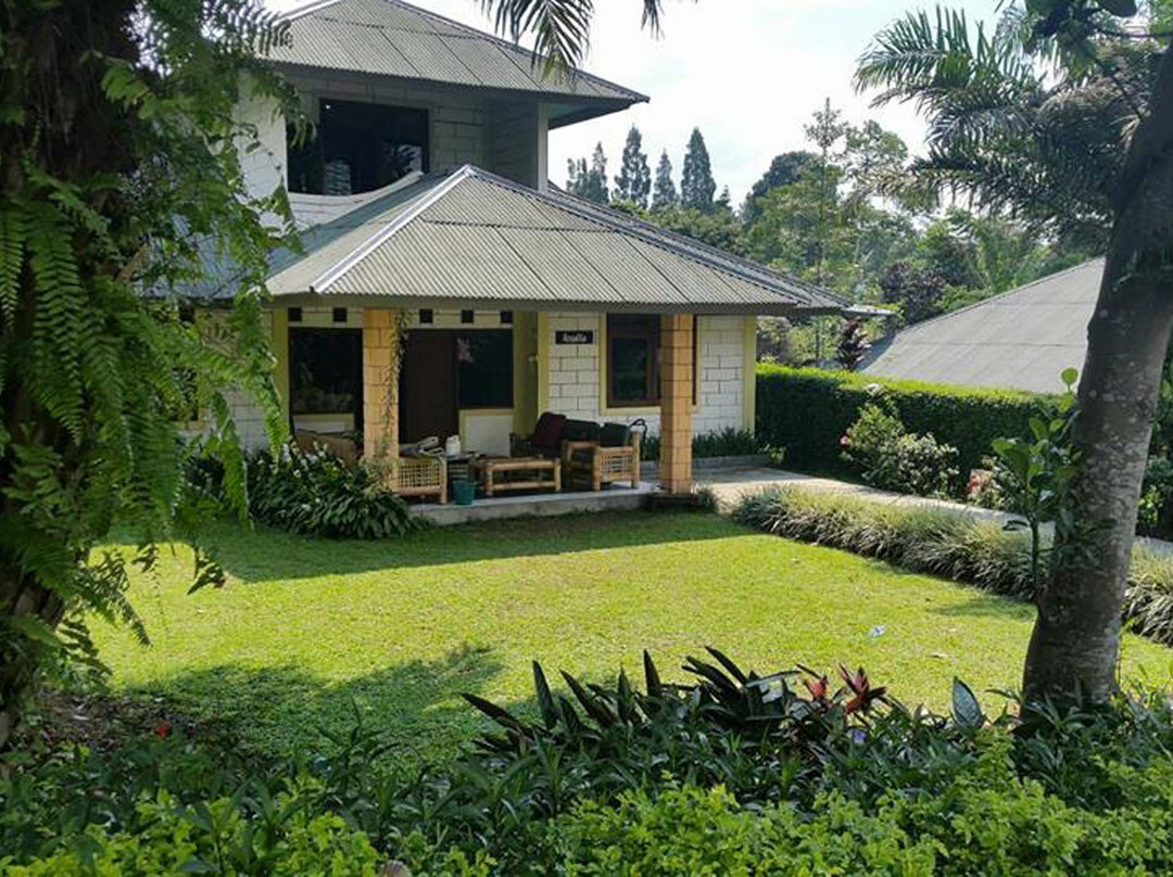 Terrace Villa Golf主图