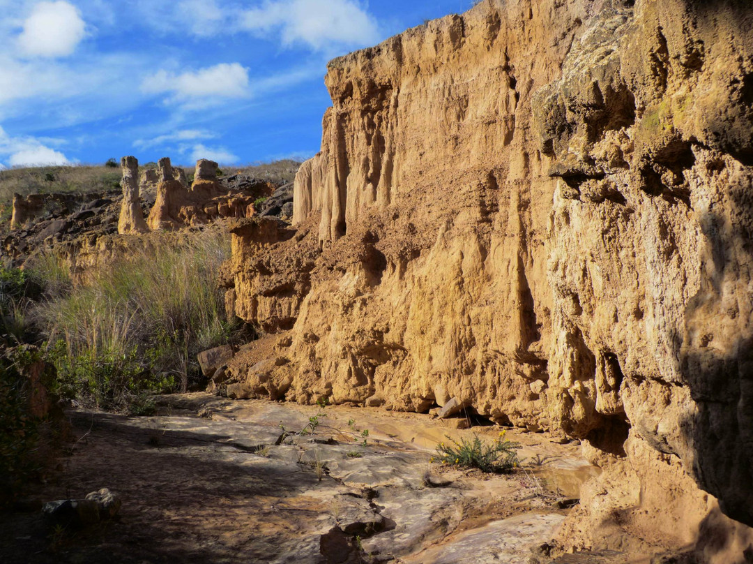 Desierto de la Tatacoita景点图片