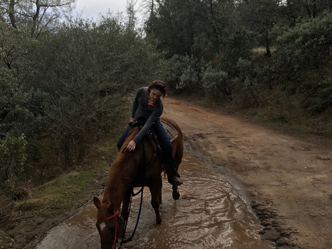 Willow Creek Riding Center-North Fork必去景点