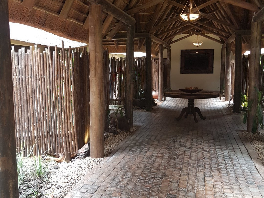 Premier Resort Mpongo Private Game Reserve景点图片